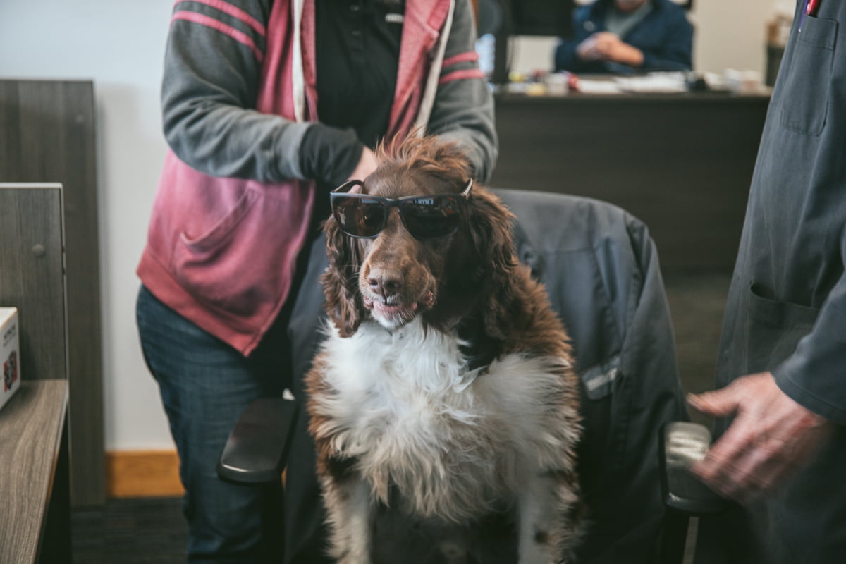 Prestige German Auto Repair in Salem OR by Prestige Auto Img 7119